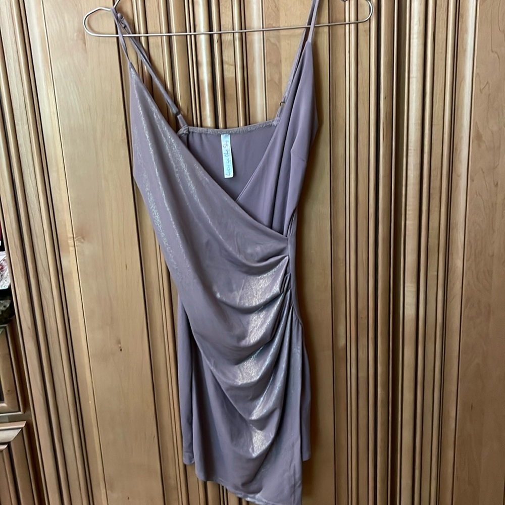 Lucy I’m the Sky Ladies XS Sparkly Taupe cocktail dress shimmery